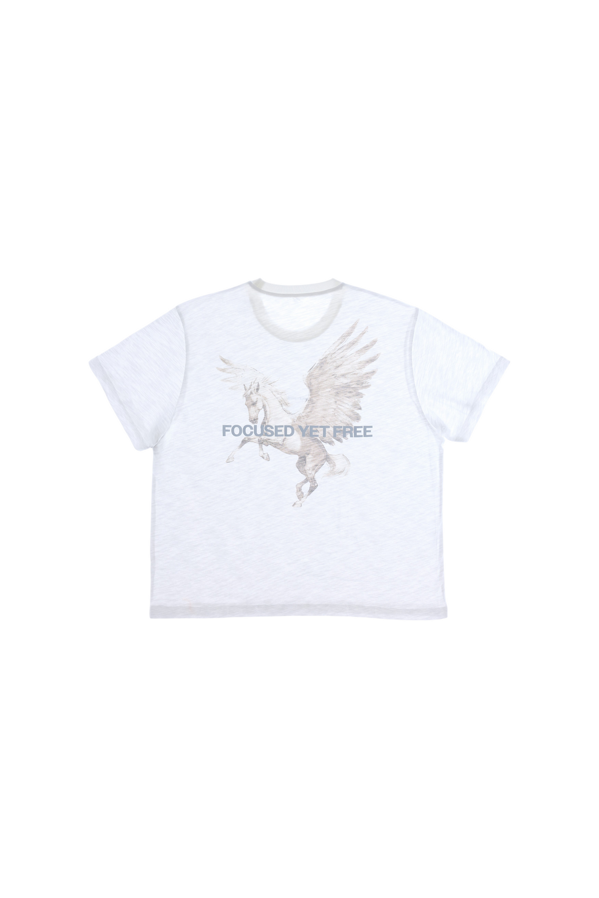 1.0 PEGASUS TEE